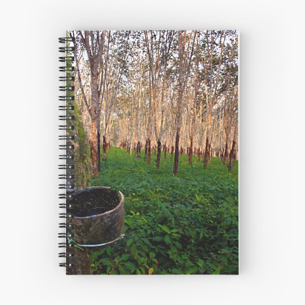 Item preview, The Rubber Tree designed and sold by Wayne King.