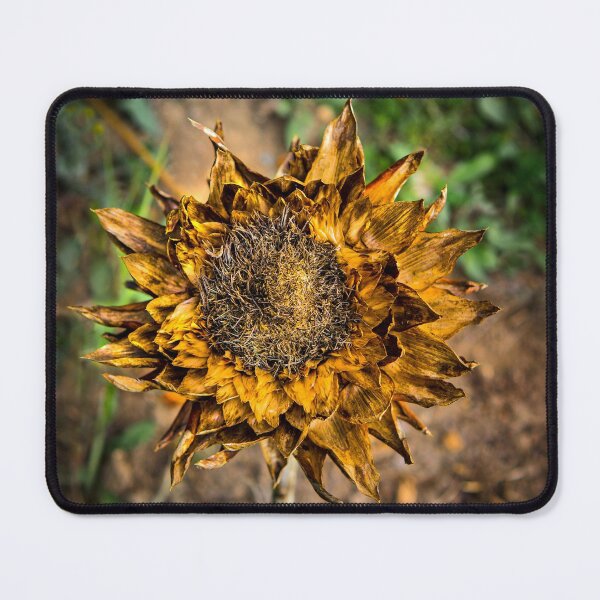 Item preview, Dead Head designed and sold by Dave Hare Photography.