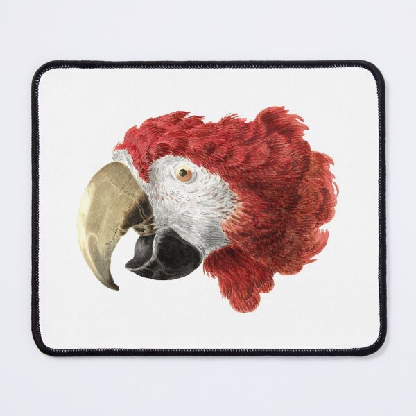 Item preview, Real Birds. Real Art. designed and sold by booboobunn.