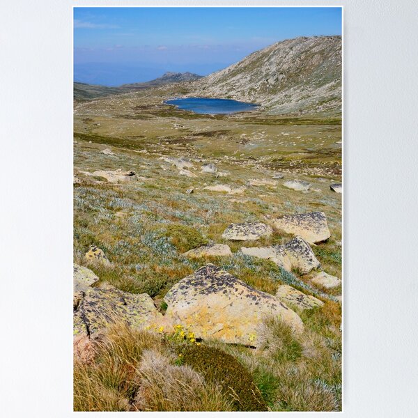 Item preview, Cootapatamba Lake designed and sold by Harry Oldmeadow.