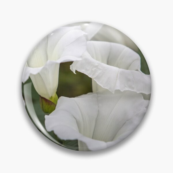 Item preview, White Bells designed and sold by Dave Hare Photography.