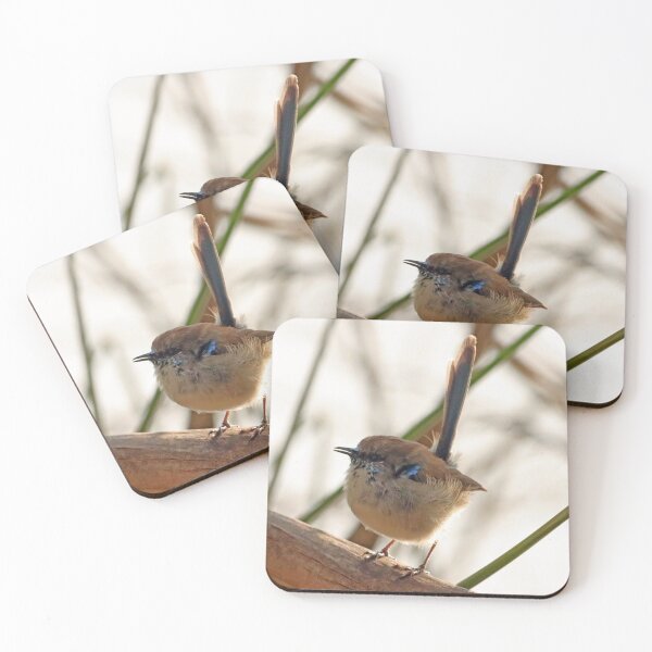 Item preview, Superb Fairy Wren designed and sold by Simon  King.