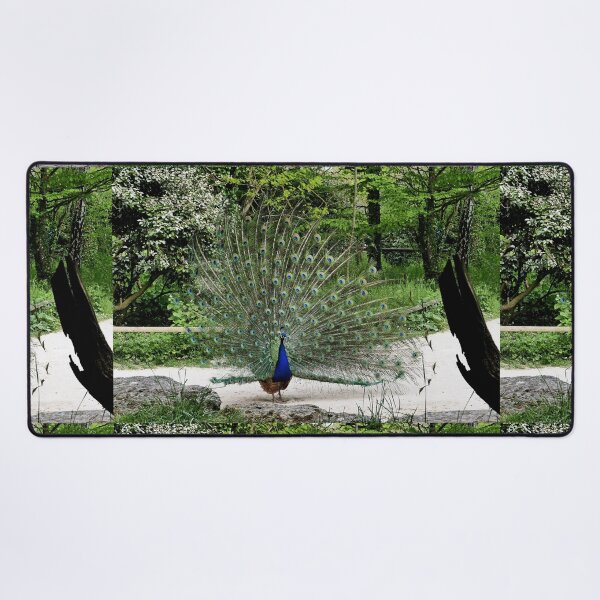 Item preview, r 2539 /  La Vallée des Singes et son Paon ! " (8 c)r (h) autre star .... par Okaio Créations - Olavia&Olao  designed and sold by o.okaïo.