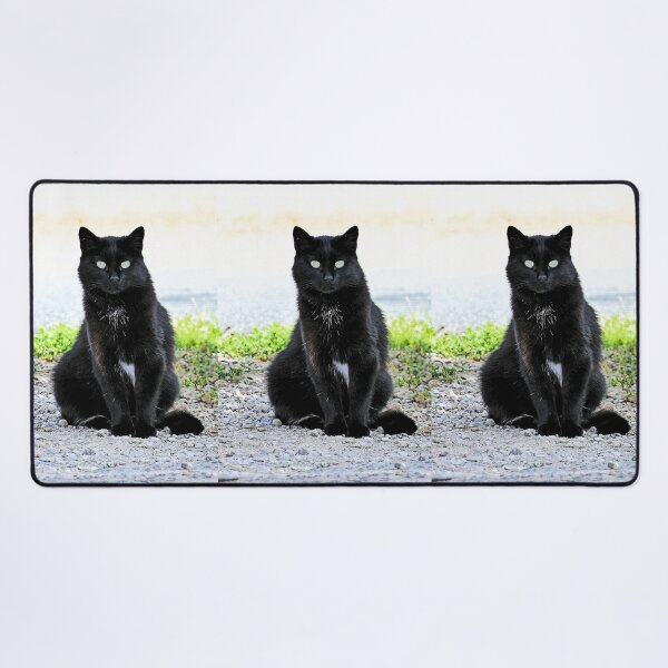 Item preview, r 2540/ 9 Chat-Cat " Diane, la belle Chatte de la rue " finition 2020 par Okaio Créations - Olavia&Olao designed and sold by o.okaïo.