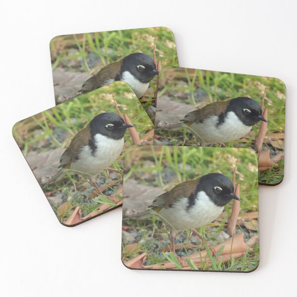 Item preview, Black headed honeyeater designed and sold by Simon  King.
