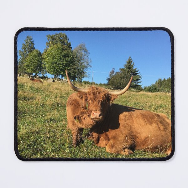 Item preview, Scottish Highland Cattle Cow and Calf 2515 designed and sold by SaarelaHighland.