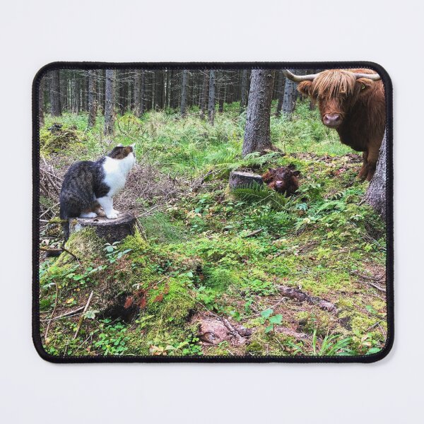 Item preview, Scottish Highland Cattle Calf and Cat 2510 designed and sold by SaarelaHighland.