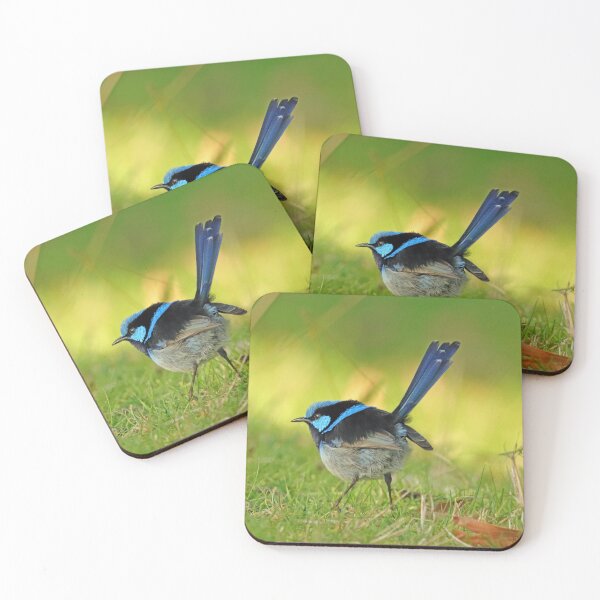 Item preview, Blue Superb Fairy Wren designed and sold by Simon  King.