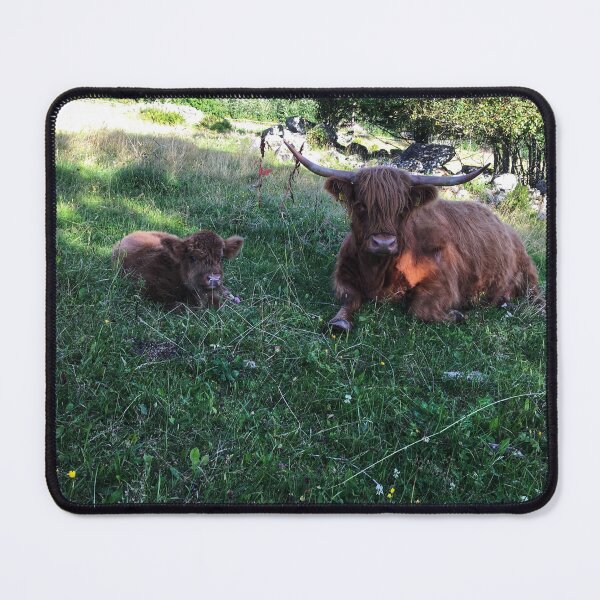 Artikelvorschau, Scottish Highland Cattle Calf and Cow 2486 entworfen und verkauft von SaarelaHighland.