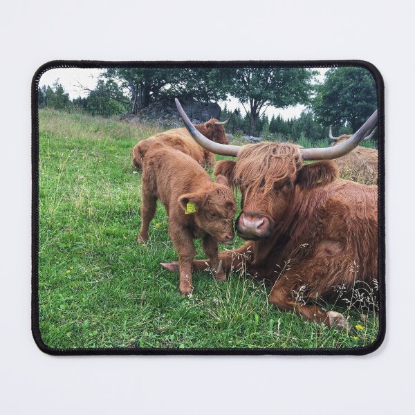 Item preview, Scottish Highland Cattle Cow and Calf 2464 designed and sold by SaarelaHighland.
