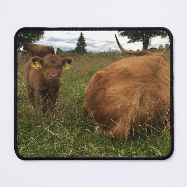 Artikelvorschau, Scottish Highland Cattle Calf 2444 entworfen und verkauft von SaarelaHighland.