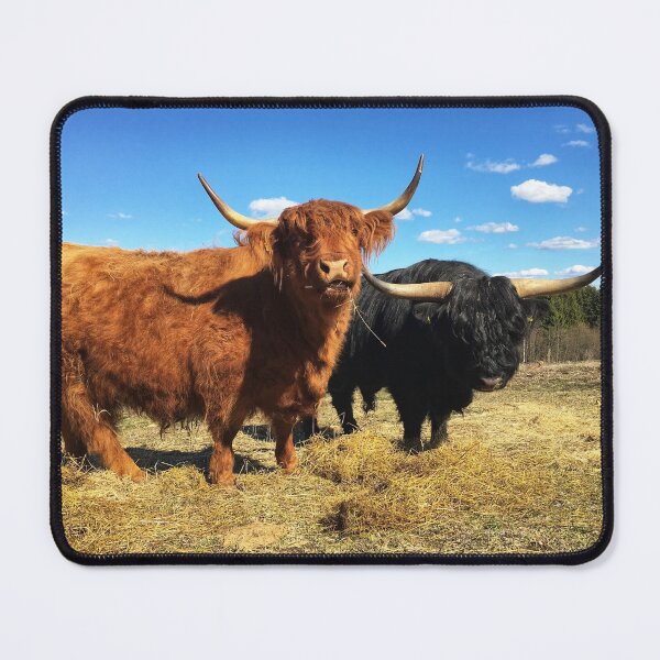 Item preview, Scottish Highland Cattle Cow and Bull 2370 designed and sold by SaarelaHighland.