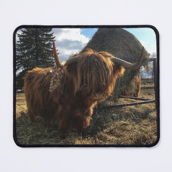 Item preview, Scottish Highland Cattle Cow 2369 designed and sold by SaarelaHighland.