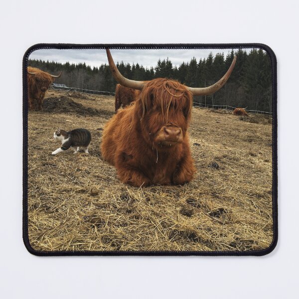 Item preview, Scottish Highland Cattle Cow and cat 2365 designed and sold by SaarelaHighland.
