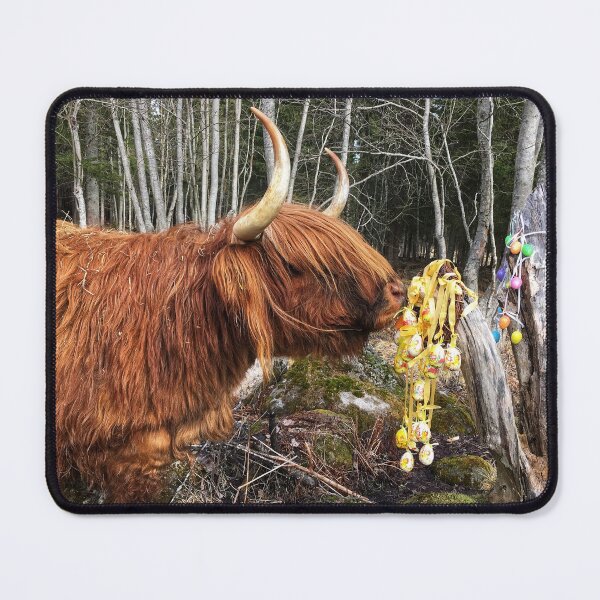 Item preview, Scottish Highland Cattle Cow and Easter eggs 2349 designed and sold by SaarelaHighland.