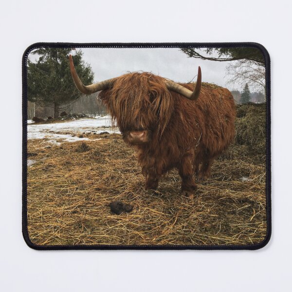 Item preview, Scottish Highland Cattle Cow 2316 designed and sold by SaarelaHighland.