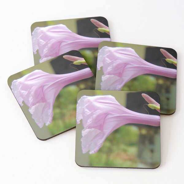 Item preview, tropical pink flower designed and sold by KiraKalaad.