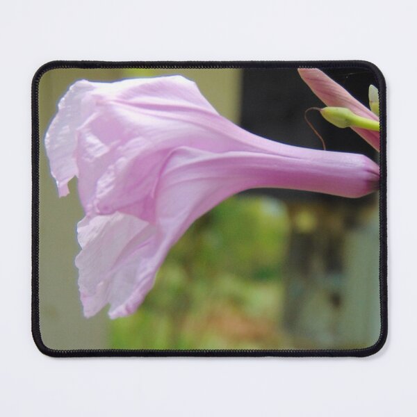 Item preview, tropical pink flower designed and sold by KiraKalaad.