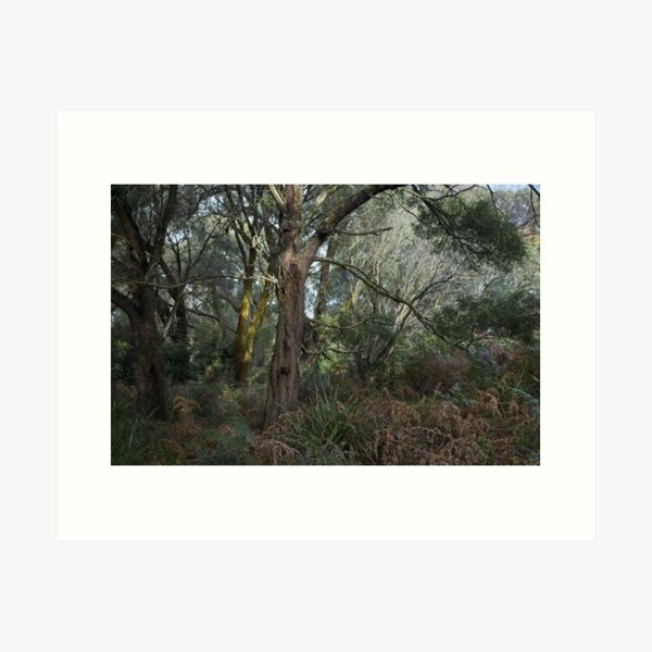 Item preview, Greens Bush #10 designed and sold by athexphoto.