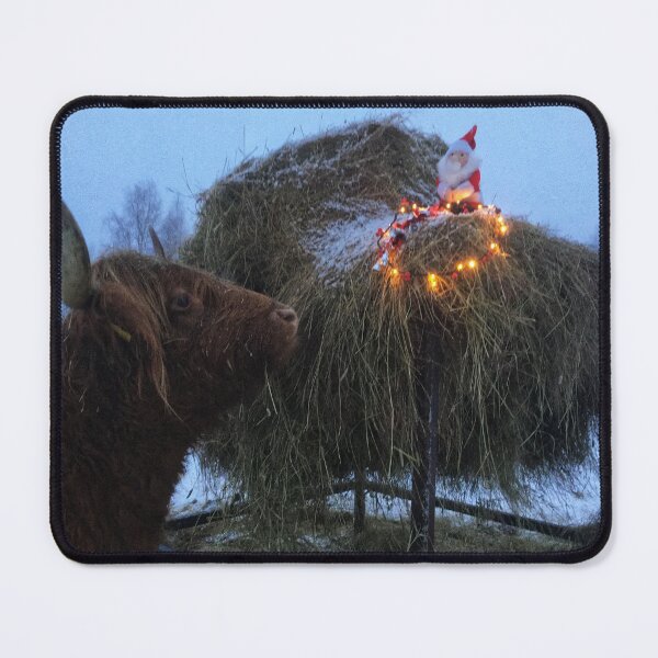 Item preview, Scottish Highland Cattle Cow 2209 designed and sold by SaarelaHighland.