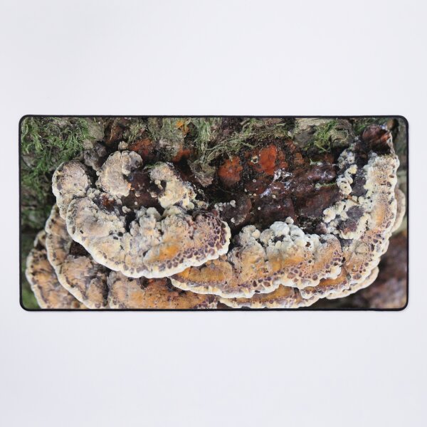 Item preview, Nature's Painting designed and sold by cuprum.