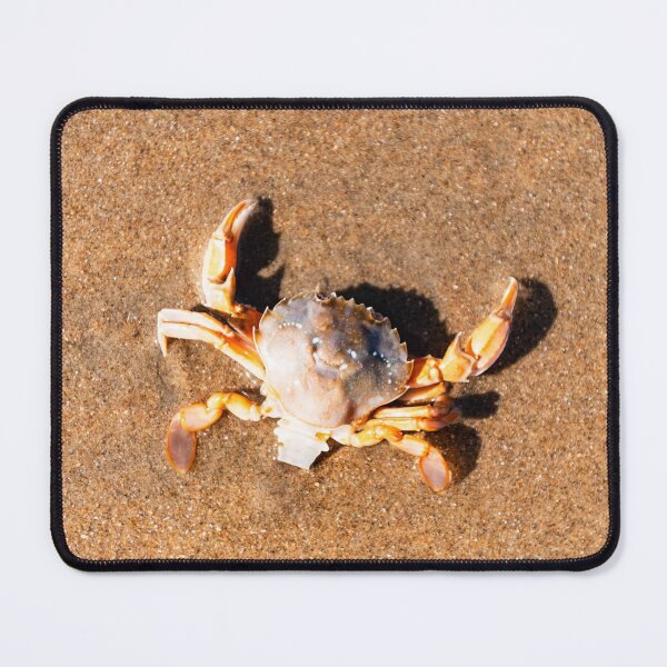 Item preview, North Sea Crab designed and sold by Ingo Gerlach.
