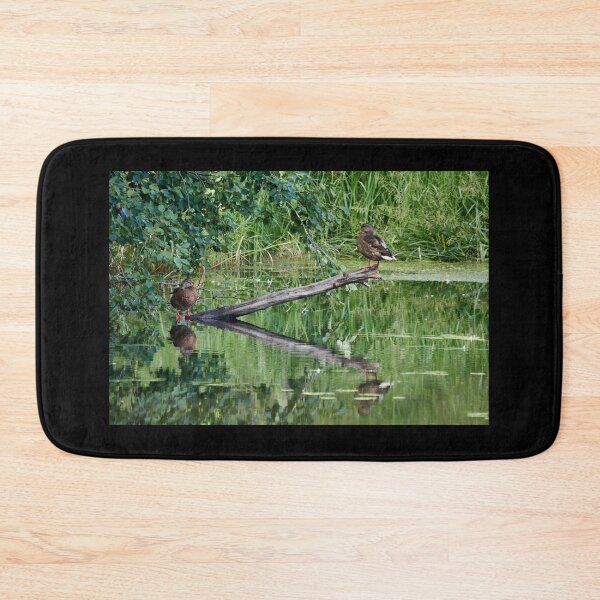 Item preview, Balancing. Mallard designed and sold by Jouko Lehto Photography.