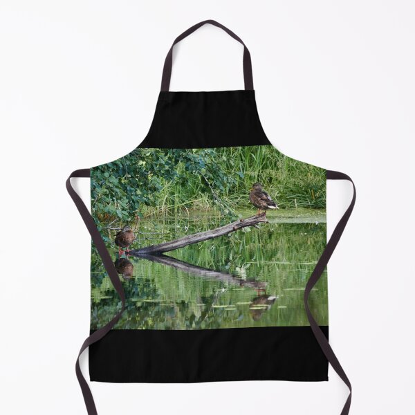 Item preview, Balancing. Mallard designed and sold by Jouko Lehto Photography.