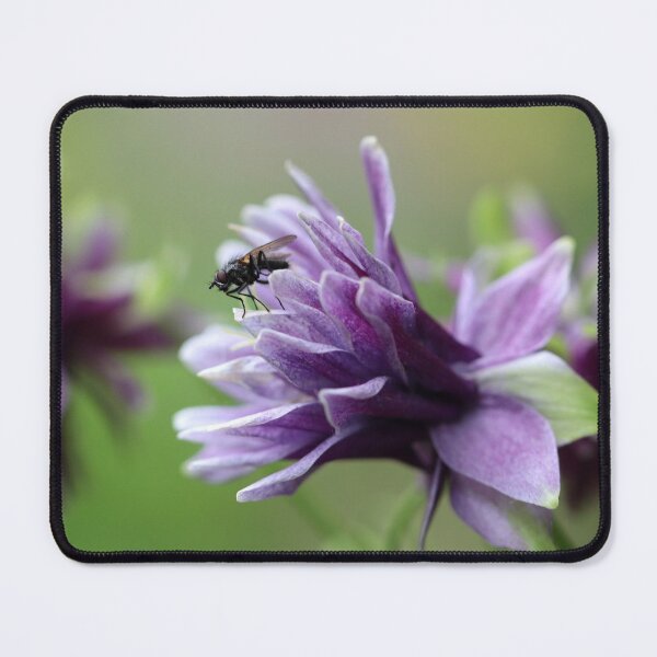 Item preview, A Good Starting Point designed and sold by cuprum.