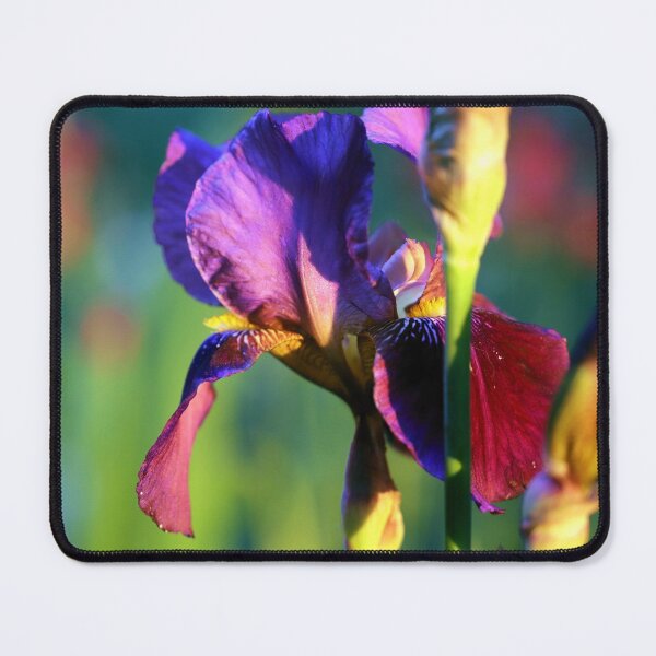 Item preview, Iris at Sunset designed and sold by cuprum.