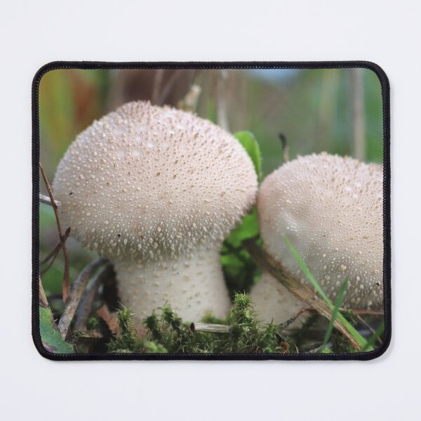 Item preview, Puffball designed and sold by cuprum.