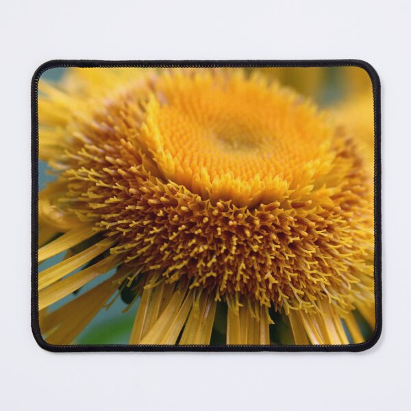 Item preview, Inula Cheerfulness designed and sold by cuprum.