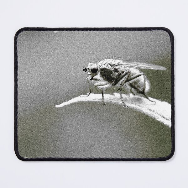 Item preview, Fly on the Wall designed and sold by cuprum.