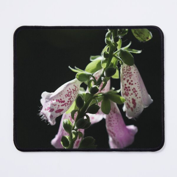 Item preview, Digitalis Beauty designed and sold by cuprum.