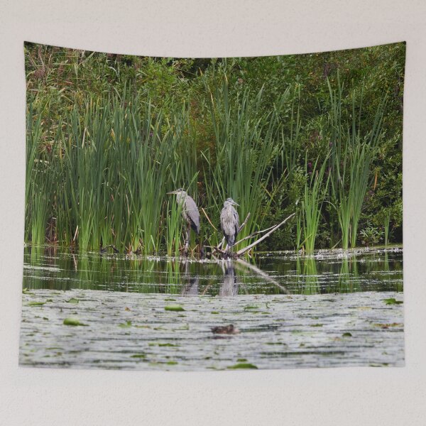 Item preview, Quiet moment. Grey heron designed and sold by Jouko Lehto Photography.