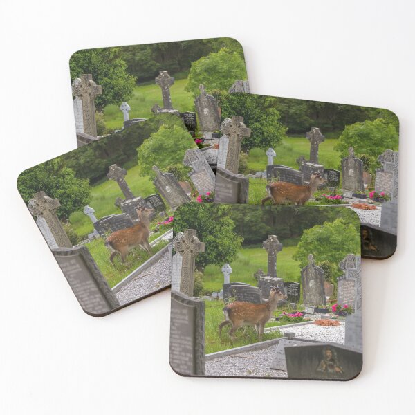 Item preview, Young deer on the Irish Graveyard of Muckross Abbey, an Old Irish Monastery in Killarney National Park, Ireland designed and sold by AlbertMi.