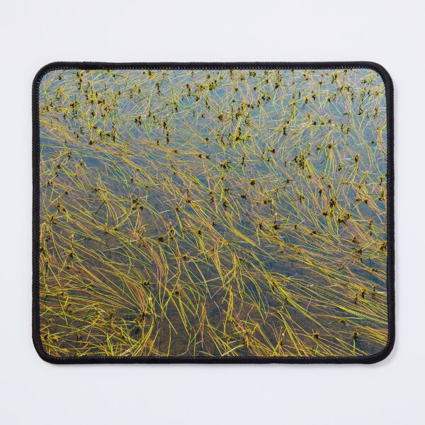 Item preview, Lake Water Reeds designed and sold by oz10.
