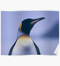 King Penguin Poster