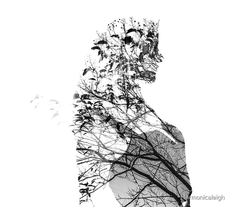 Double Exposition Fille Et Arbres Profil Noir Et Blanc Par