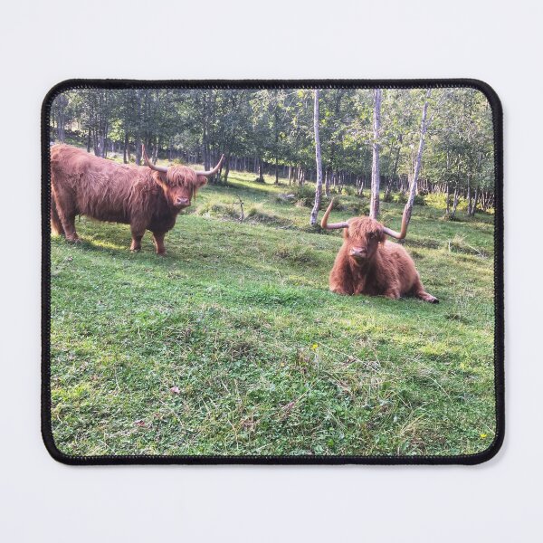 Item preview, Scottish Highland Cattle Cows 2103 designed and sold by SaarelaHighland.