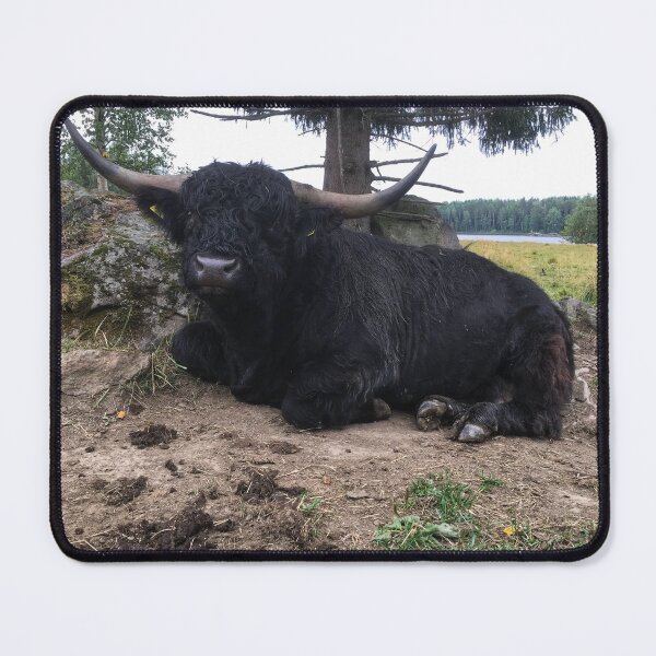 Item preview, Scottish Highland Cattle Calf 2084 designed and sold by SaarelaHighland.