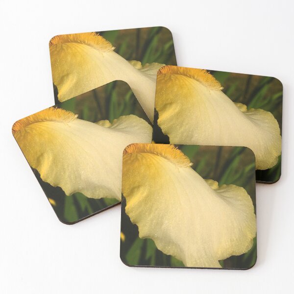 Item preview, Petal glistening in the morning sun designed and sold by Xremona.