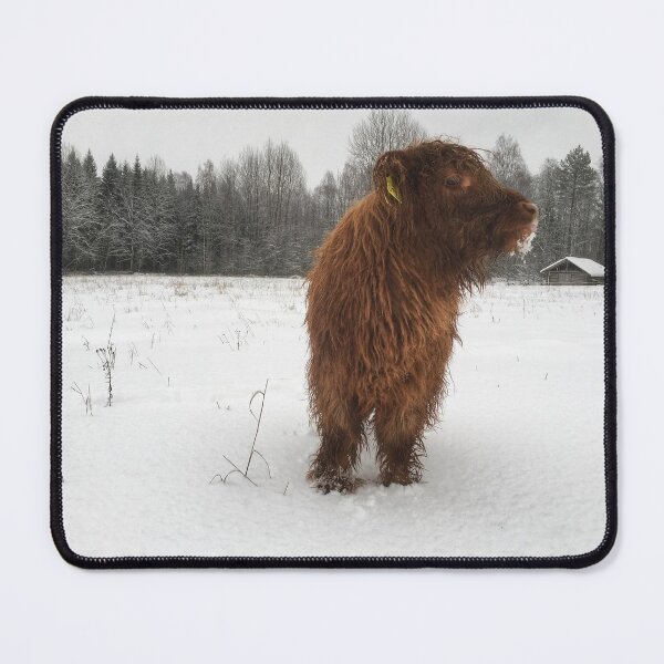 Item preview, Scottish Highland Cattle Calf 1861 designed and sold by SaarelaHighland.