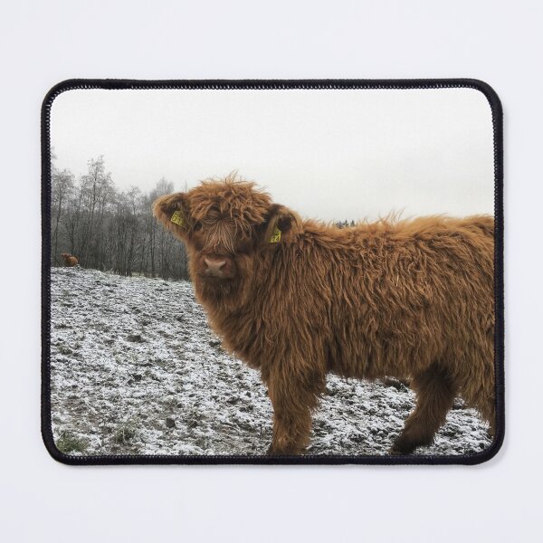 Item preview, Scottish Highland Cattle Calf 1852 designed and sold by SaarelaHighland.