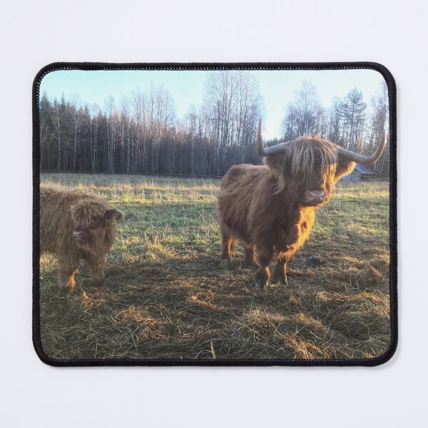 Item preview, Scottish Highland Cattle Cow and Calf 1848 designed and sold by SaarelaHighland.