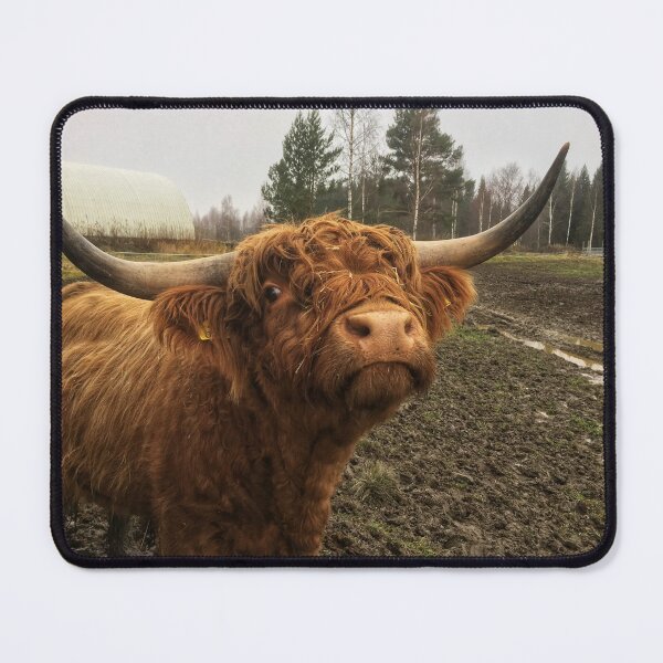 Item preview, Scottish Highland Cattle Bull 1846 designed and sold by SaarelaHighland.