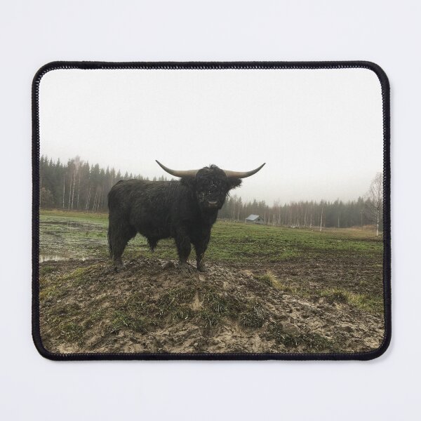 Item preview, Scottish Highland Cattle Bull 1845 designed and sold by SaarelaHighland.