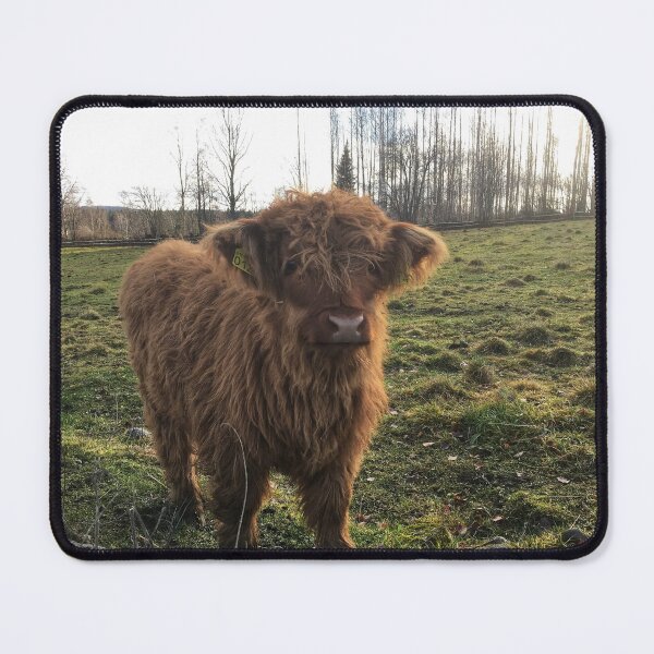 Item preview, Scottish Highland Cattle Calf 1844 designed and sold by SaarelaHighland.