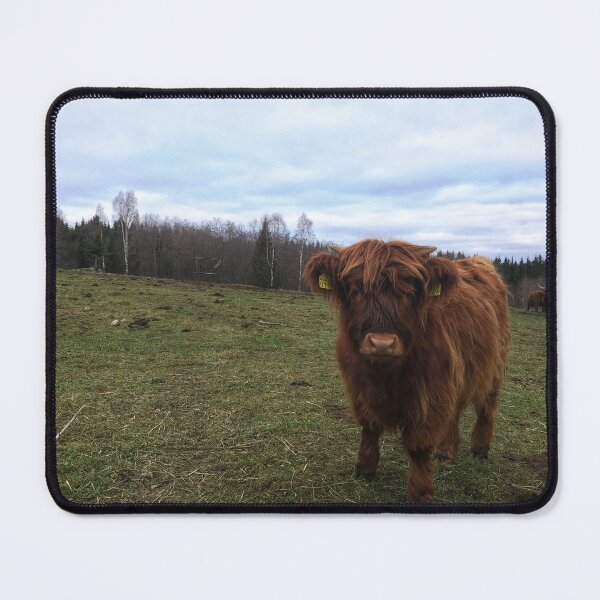Item preview, Scottish Highland Cattle Calf 1841 designed and sold by SaarelaHighland.