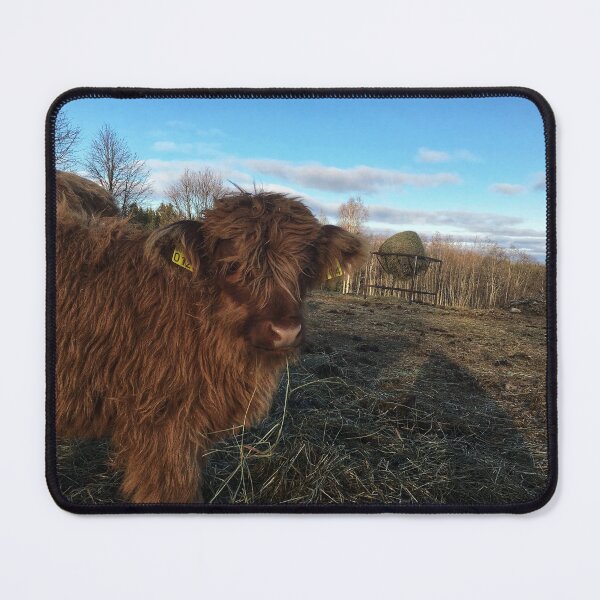 Item preview, Scottish Highland Cattle Calf 1840 designed and sold by SaarelaHighland.